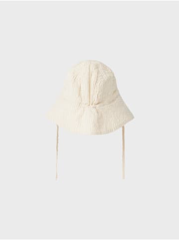 Sonnenhut NBMFEDENIS HAT in humus