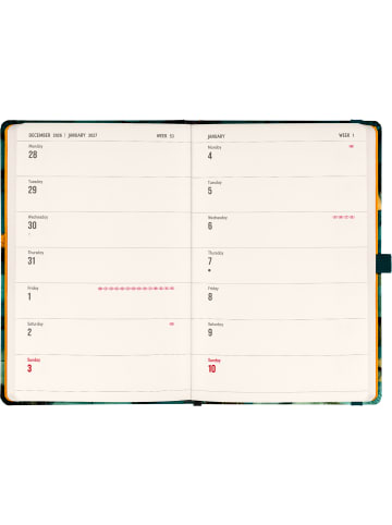 Planbook Notizbuch 2027 mit elastischem Verschluss in Katze - 13 x 21 cm
