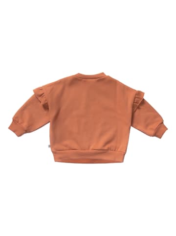 Babysweatshirt 1522042400 in orange