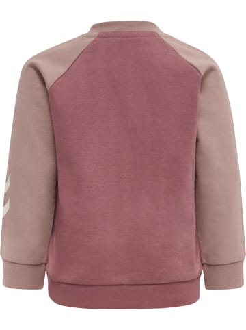 Sweatshirt Raglanärmel Hmlsportive Jungen in DECO ROSE