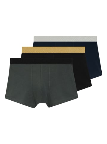 3er Pack Trunk MetallicM G in Mehrfarbig