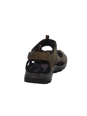 Outdoorsandalen Offroad in navajo brown