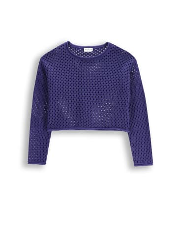 Strickpullover in blau