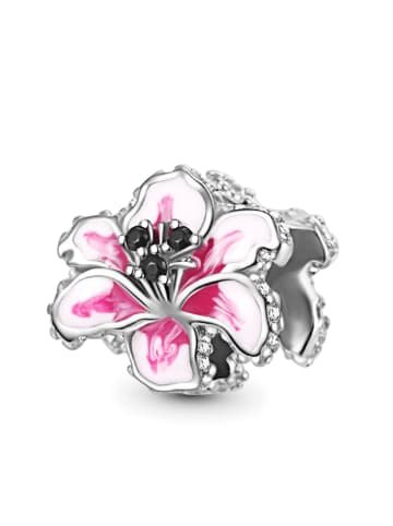 Platinbeschichtete Silberlegierung-Charm