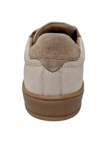 Sneaker  in Beige
