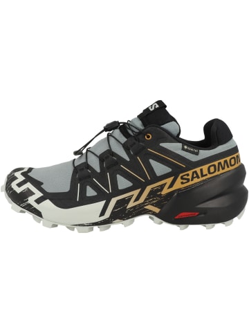 Laufschuhe Speedcross 6 GTX in multicolor