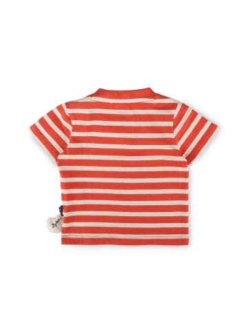 T-Shirt Ahoi Little Pirate in Rot gestreift