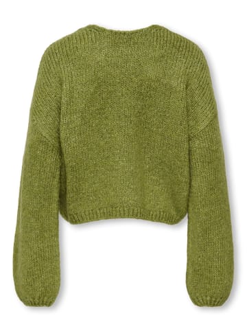 Strickpullover in Fern