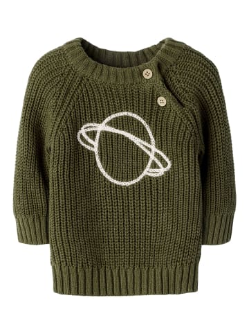 Stricktop in Winter Moss