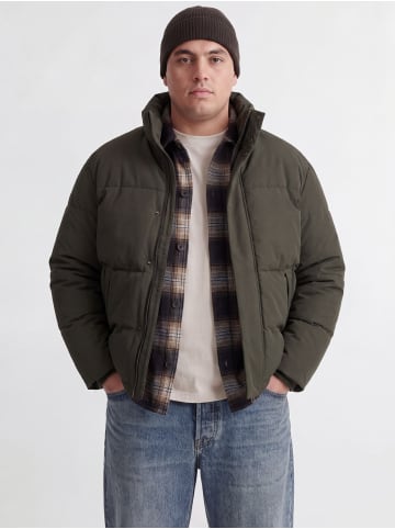 Steppjacke in Rosin