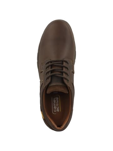 Schnürschuhe 55AVA05 in braun