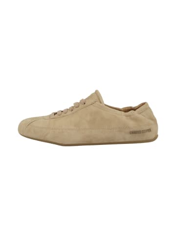 Sneaker low DANDY in beige