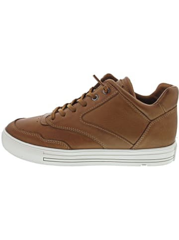Arena Sneaker high Braun