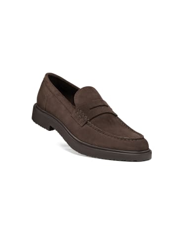 Sneakers Low Massimiano Man in braun
