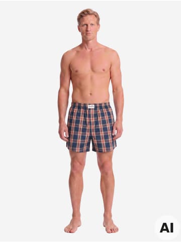 Boxer Mix Karos in Mix2-4-5