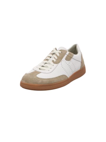 Sneaker in beige/white