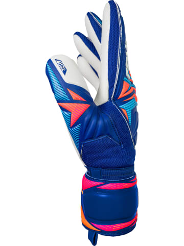 Torwarthandschuhe Attrakt Grip in 4126 sharp blu/wht/shock orng