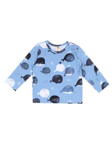 Langarmshirt Langarm Shirt aus Baumwolle (Bio)