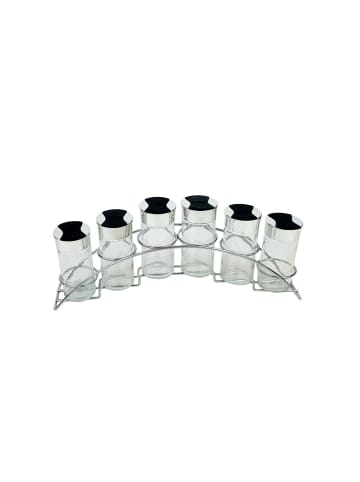 6-teiliges Gewürzständer-Set mit 90ml – Glas & Edelstahl Streuer in SIlber