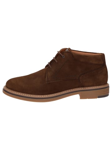 Stiefelette Encanio-714 in braun