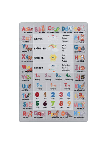 Kinderteppich Waschbar Alphabet-Zahlen-Tiere TRAUN Strapazierfähig
