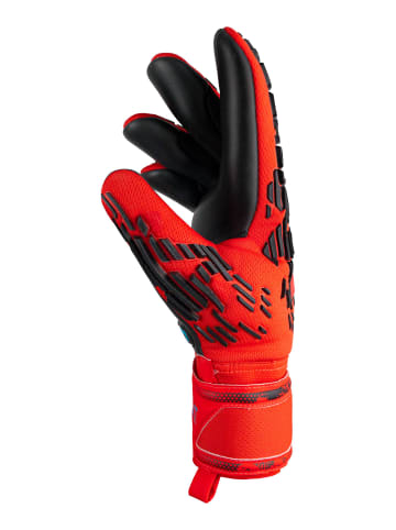 Torwarthandschuhe Attrakt Freegel Silver in 3333  brig red/futr blu/blck