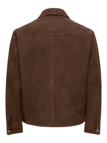 Lederjacke in Coffee Bean