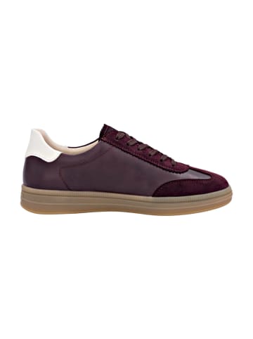 Sneaker Low in Rot