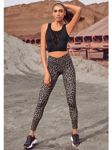 Leggings in braun
