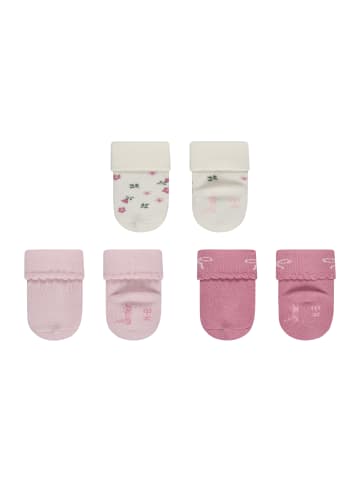 Baby Socken 3er-Pack Blumen in ecru