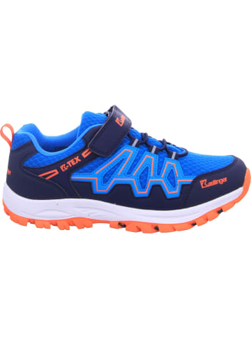 Trekkingschuh in blau