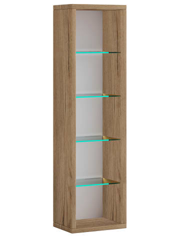 Holz CD DVD Stand Aufbewahrung Deko Regal Rasato L in Honig-Eiche