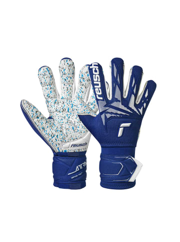 Torwarthandschuhe Attrakt Freegel Fusion Ortho-Tec in 4414 premium blue/white