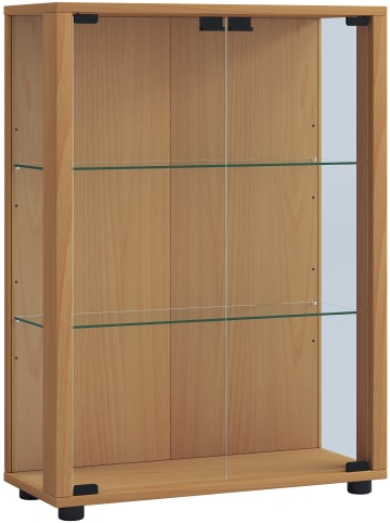 Holz Glas Stand Vitrine Sammelvitrine Sintalo in Buche