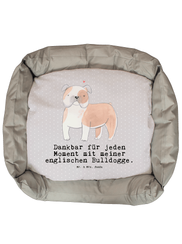 Hundekörbchen Englische Bulldogge Moment mit Sp... in Grau Pastell