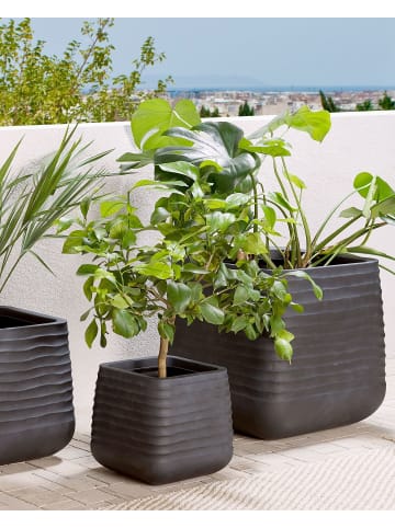Outdoor Blumentopf PARIKIA in Schwarz - (W) 50 x (H) 49 x (L) 50 cm