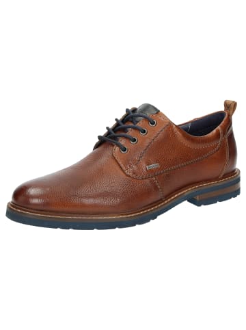 Schnürschuh Rostolo-700-TEX in cognac