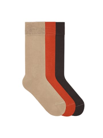 Socken Signature Classics Bundle in Beige Brown/Brick Red/Dark Brown