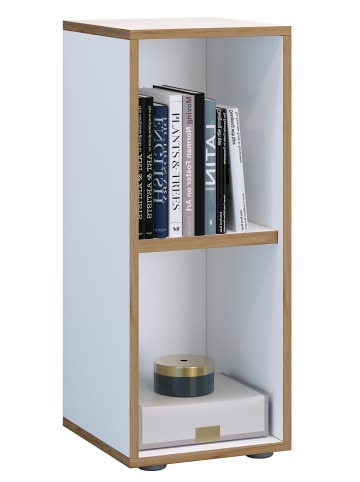 Holz Büro Regal Bücher Ordner Aktenregal Salia 2f in Weiß