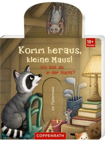 Buch - Komm heraus, kleine Maus!: Wo bist du in der Nacht?