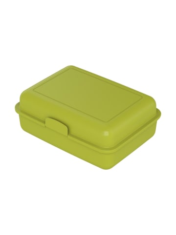 Vorratsdose "School-Box" 1100 ml in blau - mit Dino Motiv
