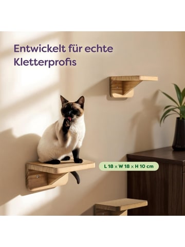 Katzen Kletterwand 3er Set – FSC® Kiefernholz für Spiel & Abenteuer