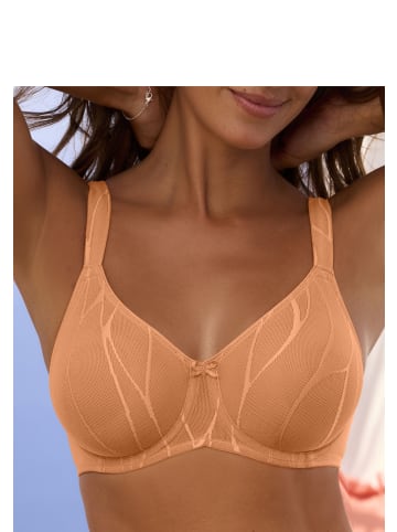 Minimizer-BH in mango