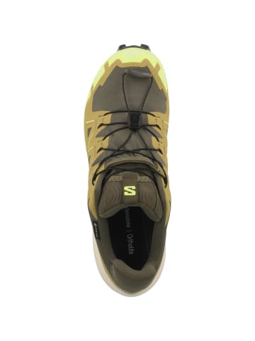 Laufschuhe Speedcross 6 GTX in gruen