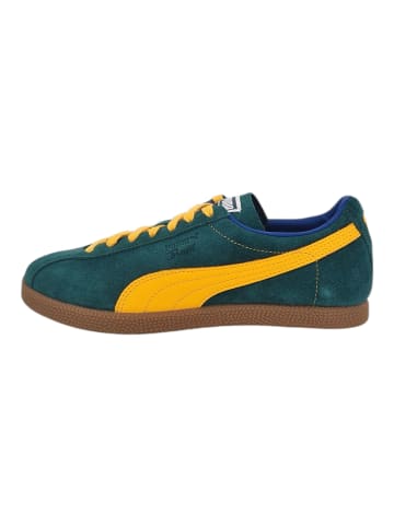 Sneaker Brasil Myrtle in Grün