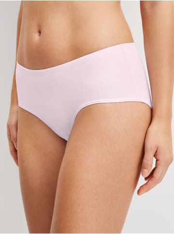 Panty in orchid rose