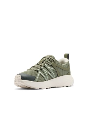 Sneaker Peakfreak in bunt