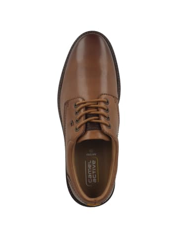 Schnürschuhe 55ATA01 in braun