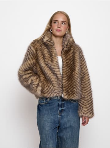 Jacket in Fossil Brown