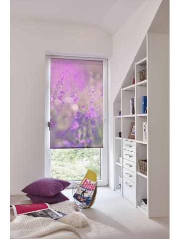Seitenzugrollo in Fuchsia Violett